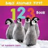 Baby Animals First 123 Book cover