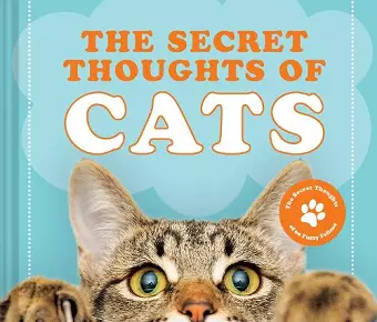 The Secret Thoughts of Cats cover