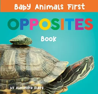 Baby Animals First Opposites Book cover