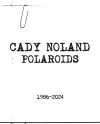 Cady Noland cover