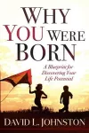 Why You Were Born cover