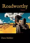 Roadworthy cover