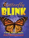 Butterfly Blink cover