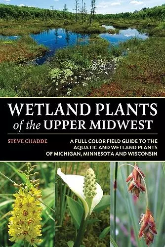 Wetland Plants of the Upper Midwest cover