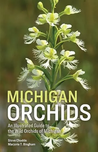 Michigan Orchids cover