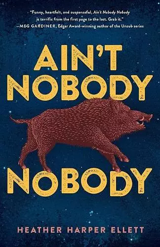 Ain't Nobody Nobody cover