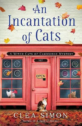 An Incantation of Cats cover