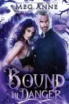 Bound by Danger cover