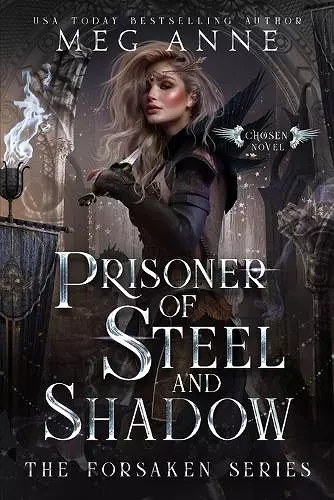 Prisoner of Steel and Shadow cover