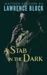 A Stab in the Dark cover