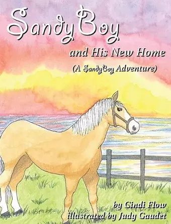 SandyBoy and His New Home (A SandyBoy Adventure) cover