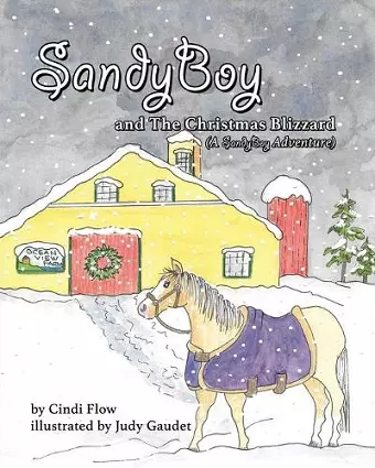 SandyBoy and the Christmas Blizzard (A SandyBoy Adventure) cover