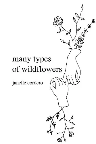 many types of wildflowers cover