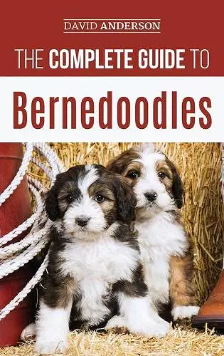 The Complete Guide to Bernedoodles cover