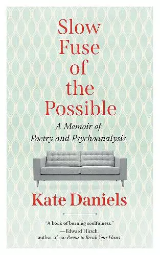 Slow Fuse of the Possible cover