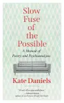 Slow Fuse of the Possible cover