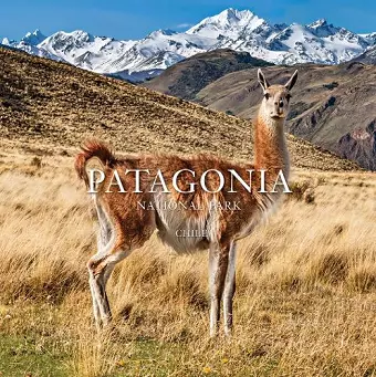 Patagonia National Park: Chile cover