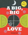 A Big, Big Love cover