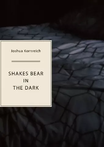 Shakes Bear in the Dark cover