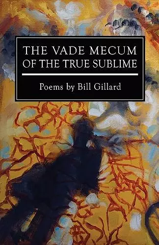 The Vade Mecum of the True Sublime cover