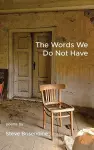 The Words We Do Not Have cover