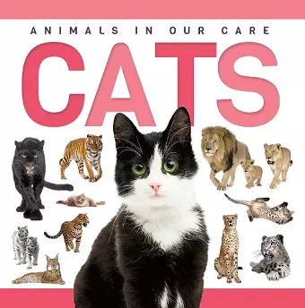 Cats cover