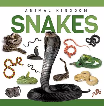 Snakes cover