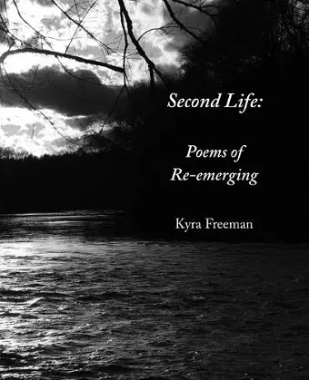 Second Life cover