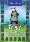 Poppy the Awesome Opossum and The Book of Runes cover