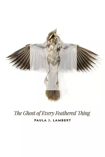 The Ghost of Every Feathered Thing cover