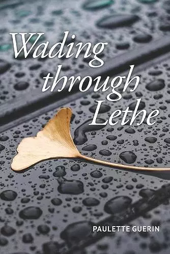 Wading through Lethe cover