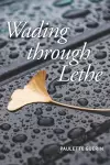 Wading through Lethe cover