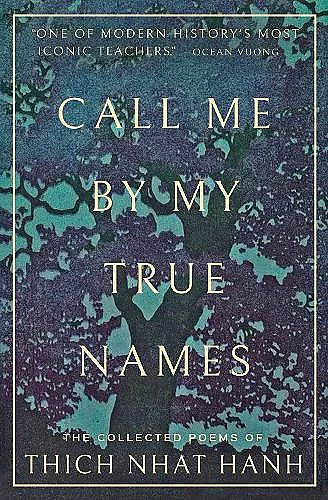 Call Me By My True Names cover