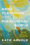 Brief Flashings in the Phenomenal World cover