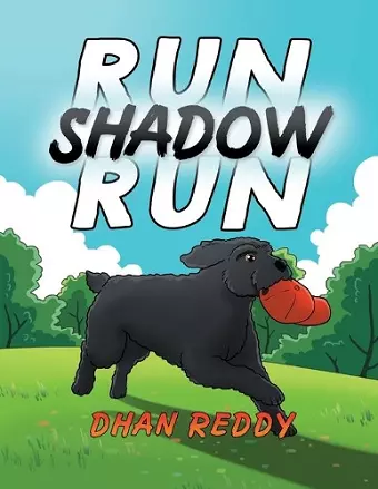 Run Shadow Run cover