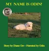 My Name is Odin cover