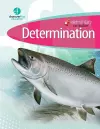 Elementary Curriculum Determination cover