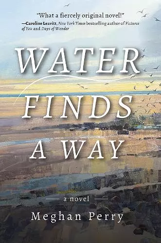 Water Finds a Way a novel cover