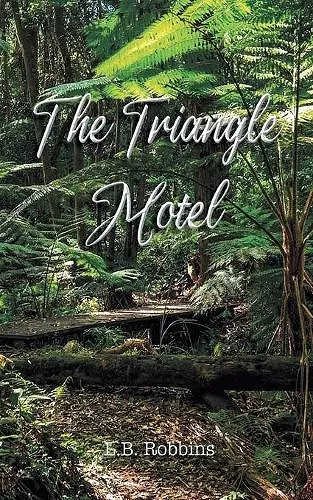 The Triangle Motel cover