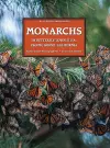 MONARCHS In Butterfly Town U.S.A., Pacific Grove, California cover