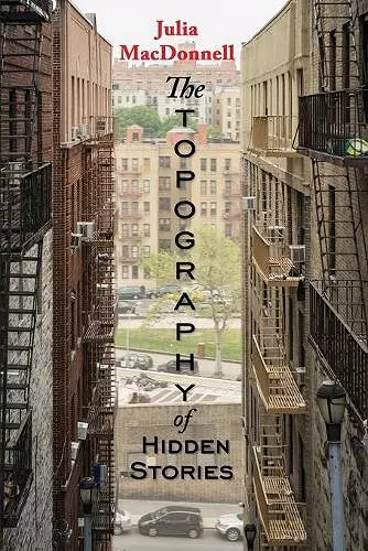 The Topography of Hidden Stories cover