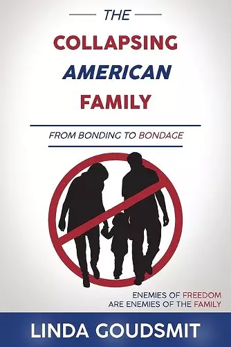 The Collapsing American Family cover