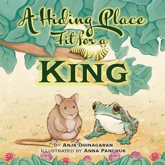 A Hiding Place Fit for a King cover