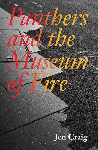 Panthers and the Museum of Fire cover