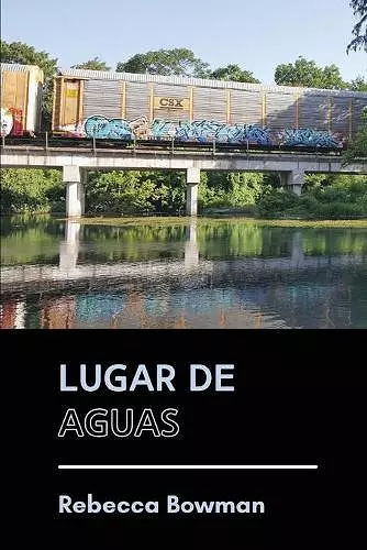 Lugar de aguas cover