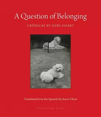 A Question of Belonging cover