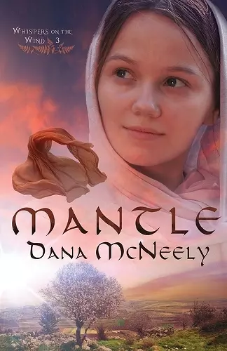 Mantle cover