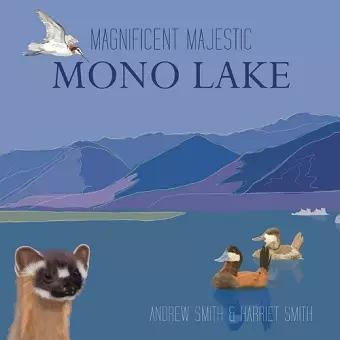 Magnificent Majestic Mono Lake cover