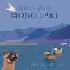 Magnificent Majestic Mono Lake cover