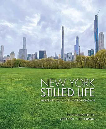 New York Stilled Life cover